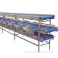 Vegetable conveying selecting machine